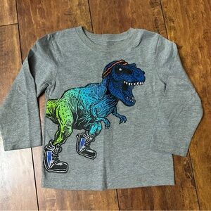 Gray Dinosaur Kids Shirt 3T